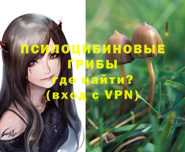 ALPHA-PVP Магас