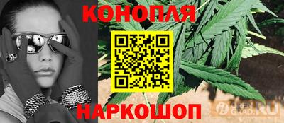 прущий лед Гусев