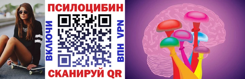 Галлюциногенные грибы Psilocybine cubensis  купить наркотик  Камышлов 