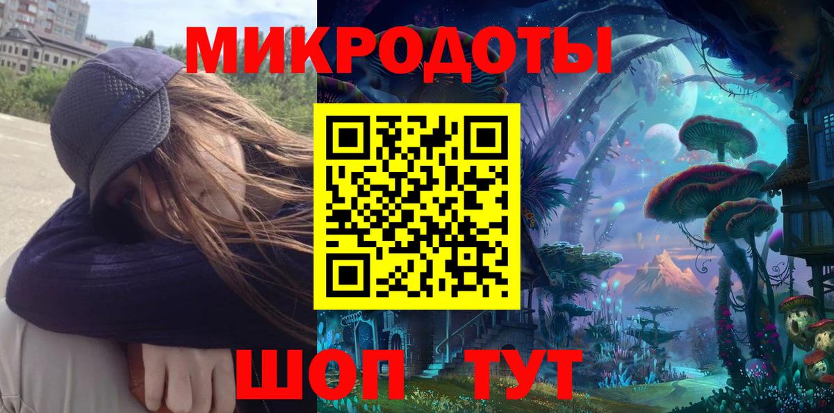 Галлюциногенные грибы Psilocybine cubensis Камышлов